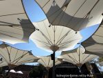 Tanzbrunnen, Köln, renovierte "Pilz"-Schirme vor der Bühne 2026 