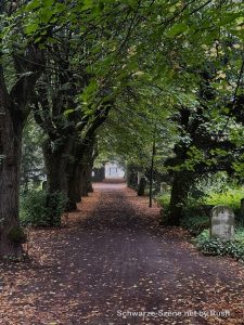 Alter Friedhof Neuwied - zentrale Allee