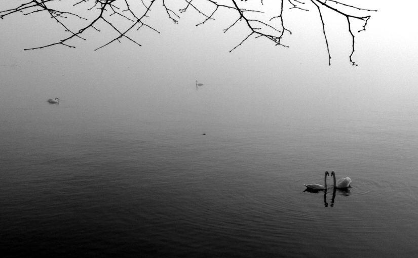 5 Stun­den gute Musik :-)